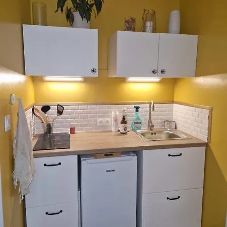 Studio Saint Sebastien Cosy 2 Pers Terreaux Appartement